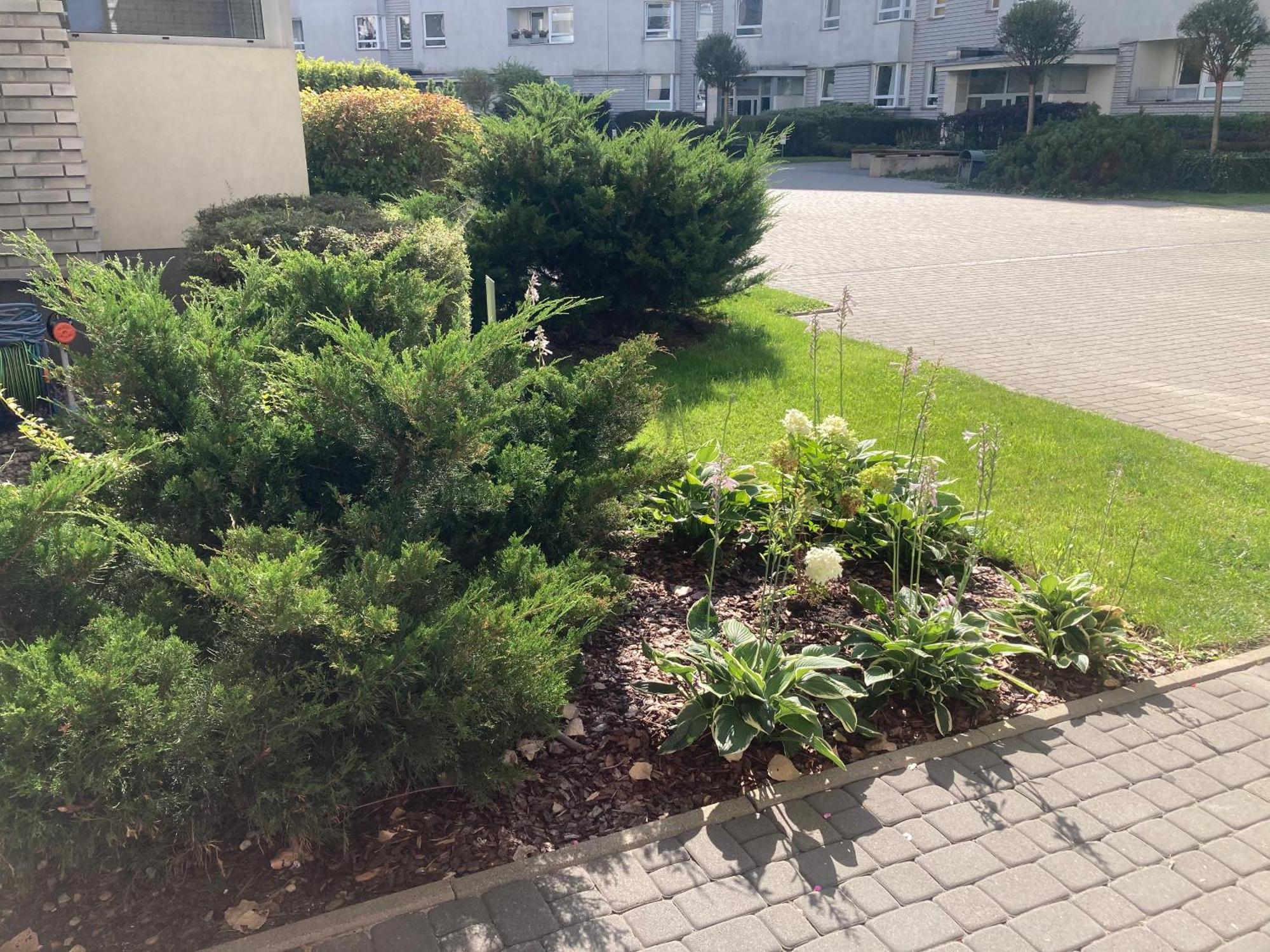 Przestronny Apartament Na Dolnej 바르샤바 외부 사진